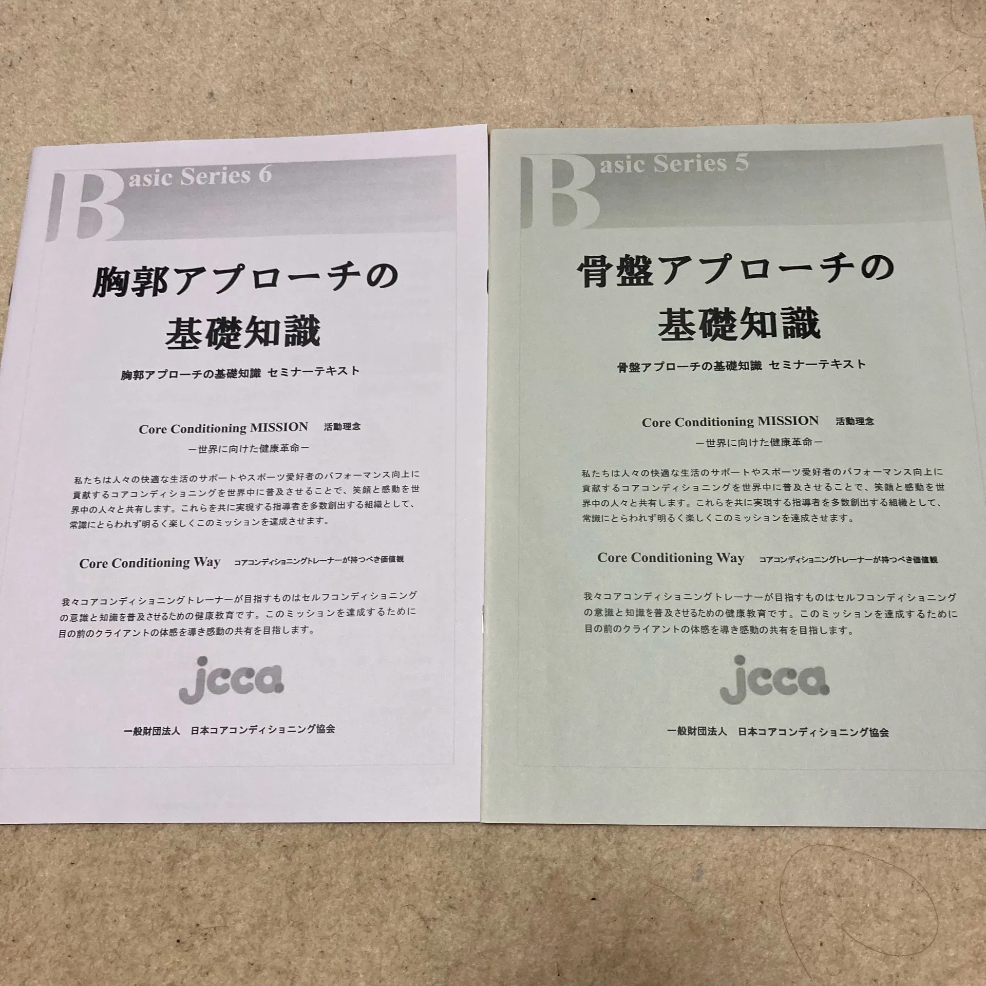 胸郭アプローチの基礎知識・骨盤アプローチの基礎知識